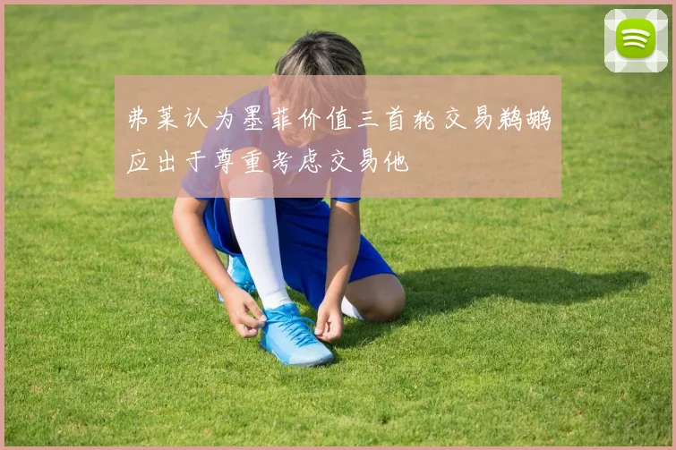 弗莱认为墨菲价值三首轮交易鹈鹕应出于尊重考虑交易他