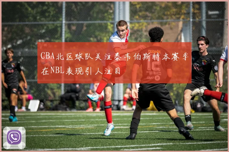 CBA北区球队关注泰韦伯斯特本赛季在NBL表现引人注目