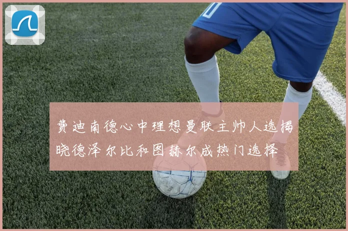 费迪南德心中理想曼联主帅人选揭晓德泽尔比和图赫尔成热门选择